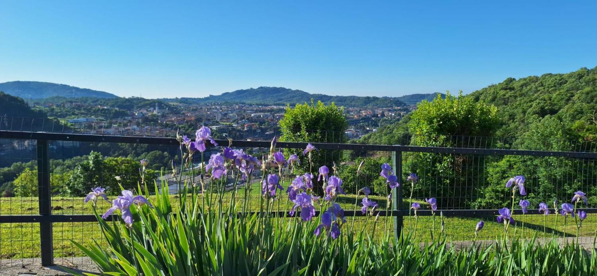Villa Duno A Un Passo Da Citta Alta Clanezzo Exteriör bild