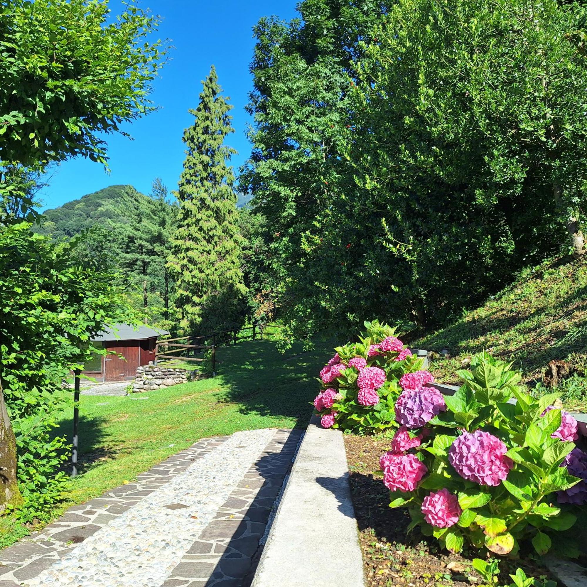 Villa Duno A Un Passo Da Citta Alta Clanezzo Exteriör bild